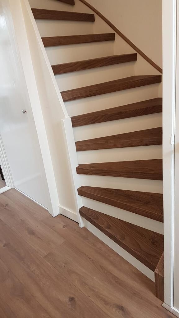 Deep Country Oak